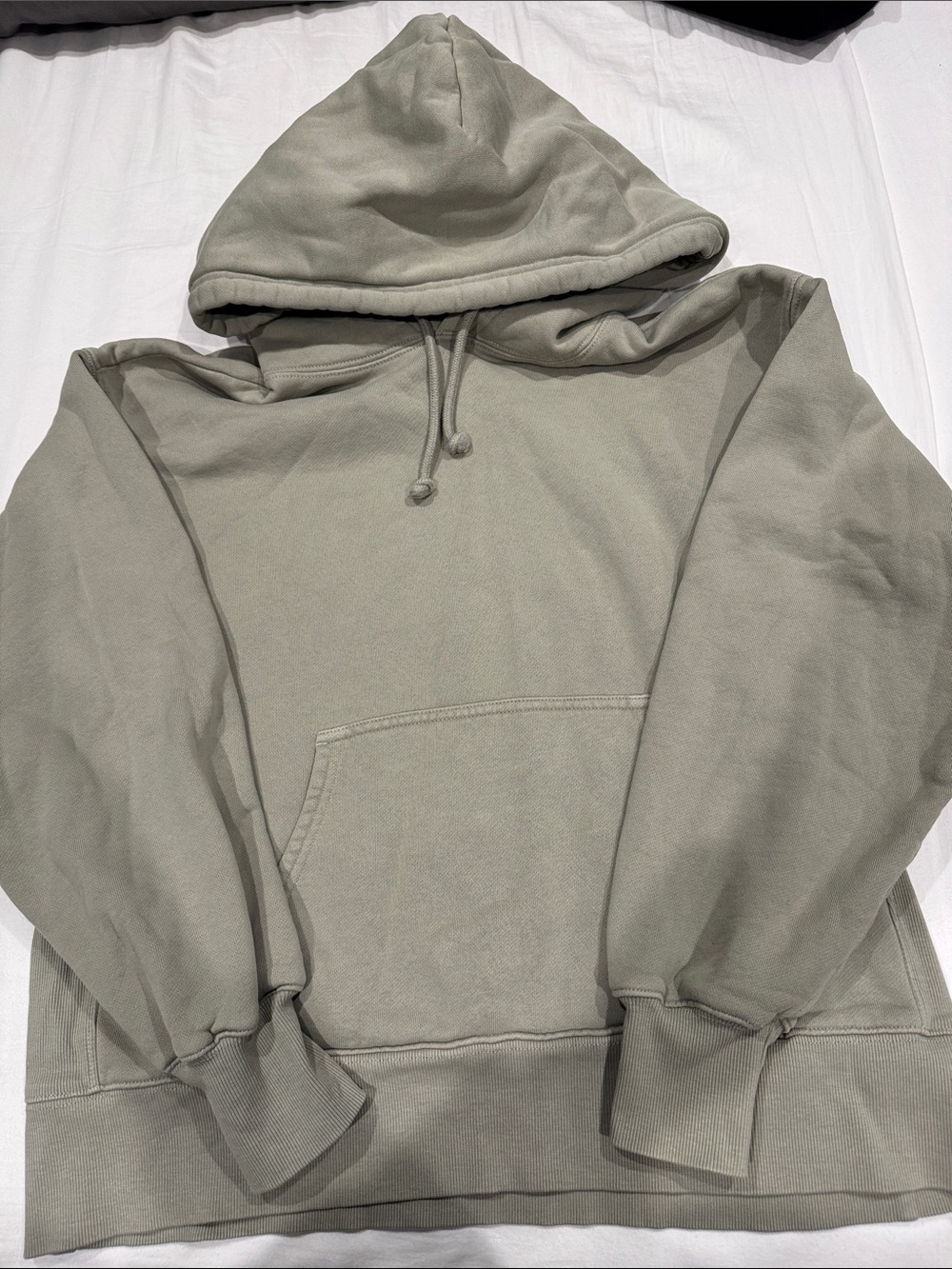 TNA Hoodie in Sage Green